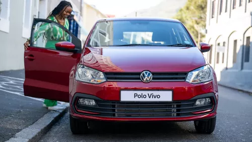 Polo Vivo