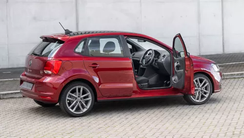 Polo Vivo