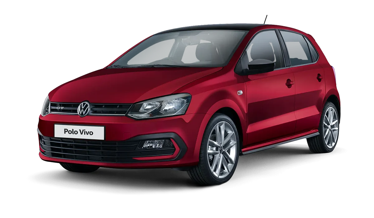 Polo Vivo